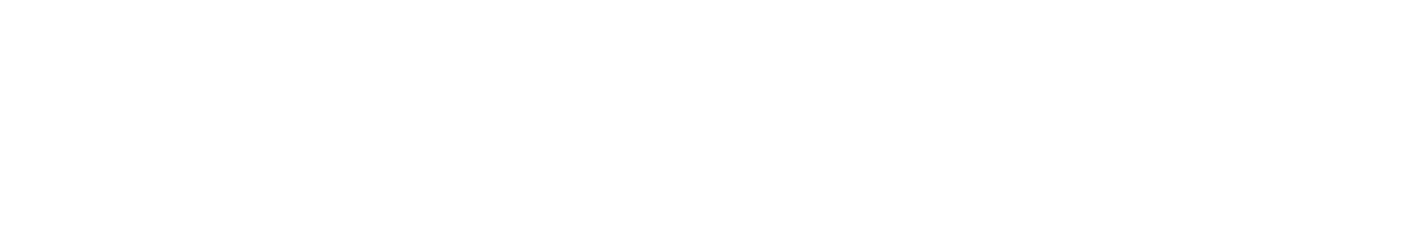The Robert Wilson Agency